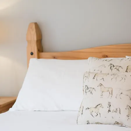 Tatil Evi Hudson - Uk38152 Newton-on-Rawcliffe