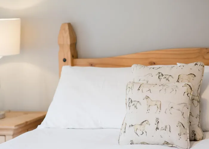 Tatil Evi Hudson - Uk38152 Newton-on-Rawcliffe